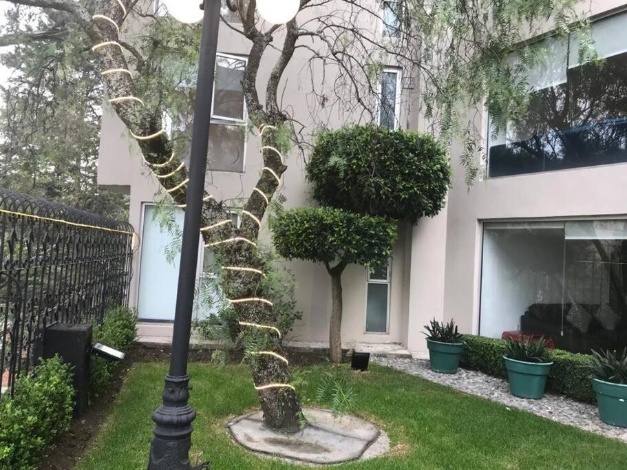 Hermoso Departamento En Bosques De Las Lomas Dos Habitaciones Mexico City Exterior photo